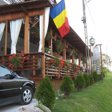 Pensiunea Pomi -Oesti Hotel Albestii Paminteni Ngoại thất bức ảnh